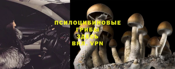прущий лед Михайловка
